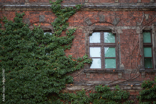Window on old building in Wroclaw  Poland  Europe