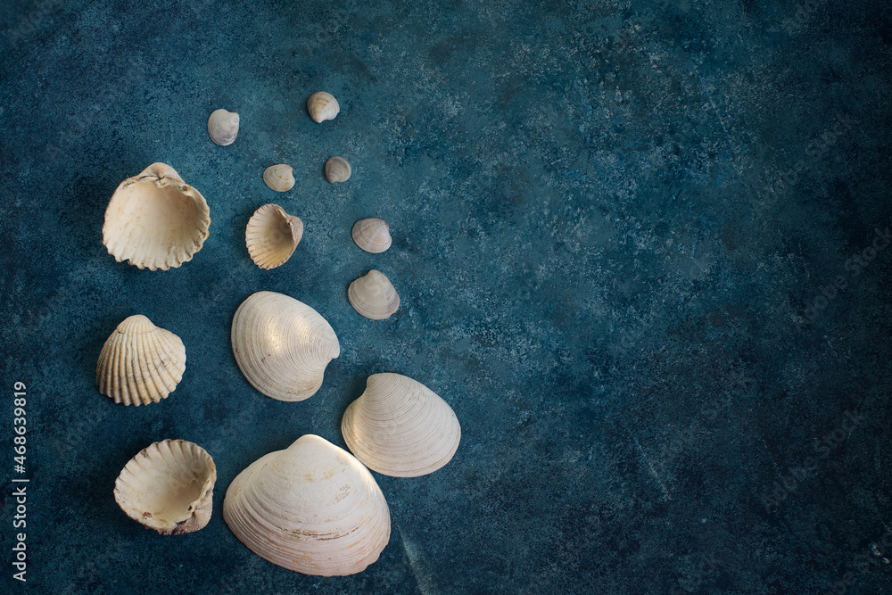 Various sea shells on deep blue concrete background with copy space for text Various sea shells on deep blue concrete background with copy space for text