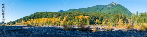 Mount Rainier National Park-Panorama of Autumn’s Golden Trees Beside the Nisqually River with Mount Wow in the Background