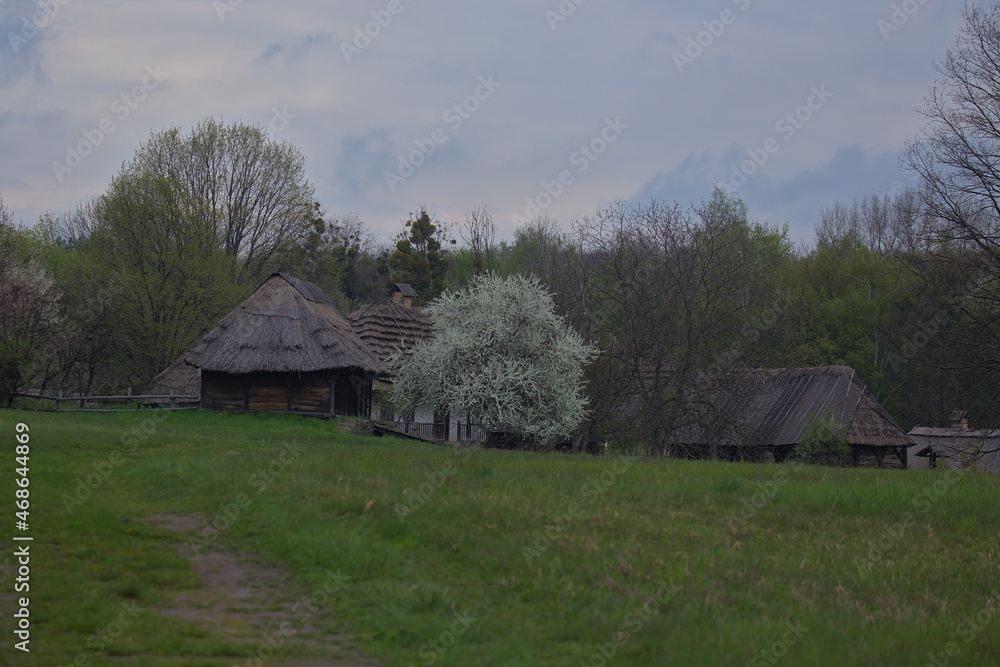 Fototapeta premium Kyiv. Pirogovo. Ukraine - Several traditional Ukrainian old huts with thatched roofs. National architecture. Warm spring sunny day.