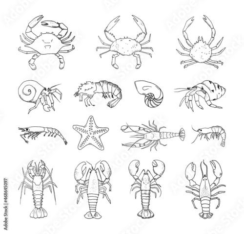 Collection of monochrome illustrations of crustaceans in sketch style. Hand drawings in art ink style. Black and white graphics.
