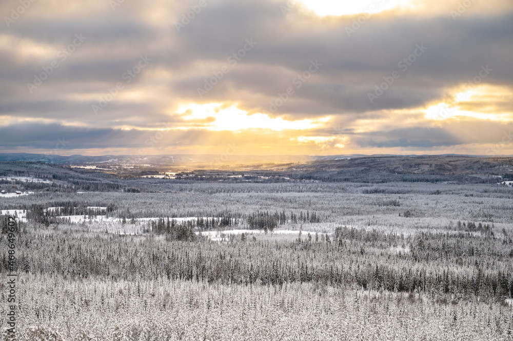 Obraz premium Winter landscape with forest, trees covered snow and sunray coming through the clouds. Winterly morning of a new day. Cloudy winter landscape with sunset