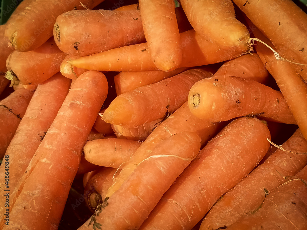 bunch of carrots