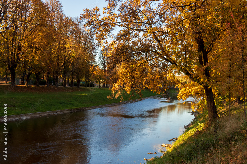 Autumn trees on the banks of the Olza River