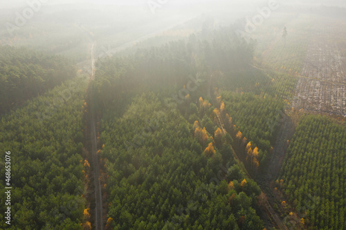 Poranne mgły oświetlone słonecznymi promieniami unoszące się nad lasem. Widok z drona.
