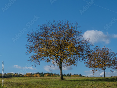 Obstb  ume im Herbst