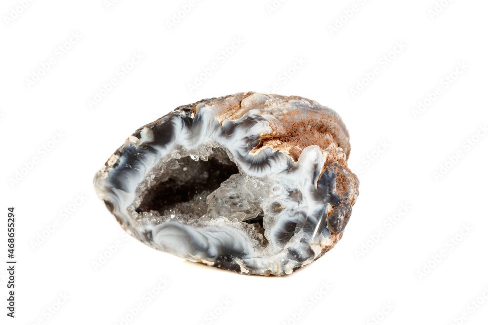 Macro mineral stone agate kidney gerbera on white background close up Macro mineral stone agate kidney gerbera on white background close up