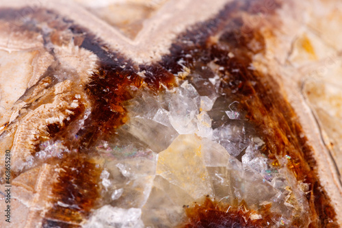 Macro mineral stone Simbirzit and Septaria on white background photo