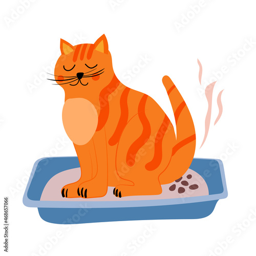 Cute ginger Cat pooping in litter box. Pet toilet hygien illustration, cartoon flat style isolated photo