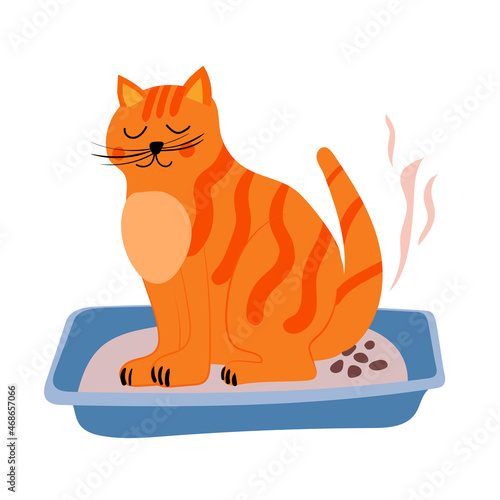 Cute ginger Cat pooping in litter box. Pet toilet hygien illustration, cartoon flat style isolated
