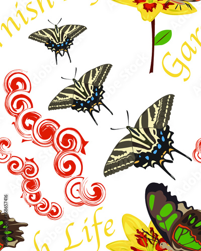 Diseño de mariposas en rapport