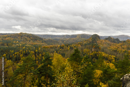 Herbstwald im Elbsandsteingebirge