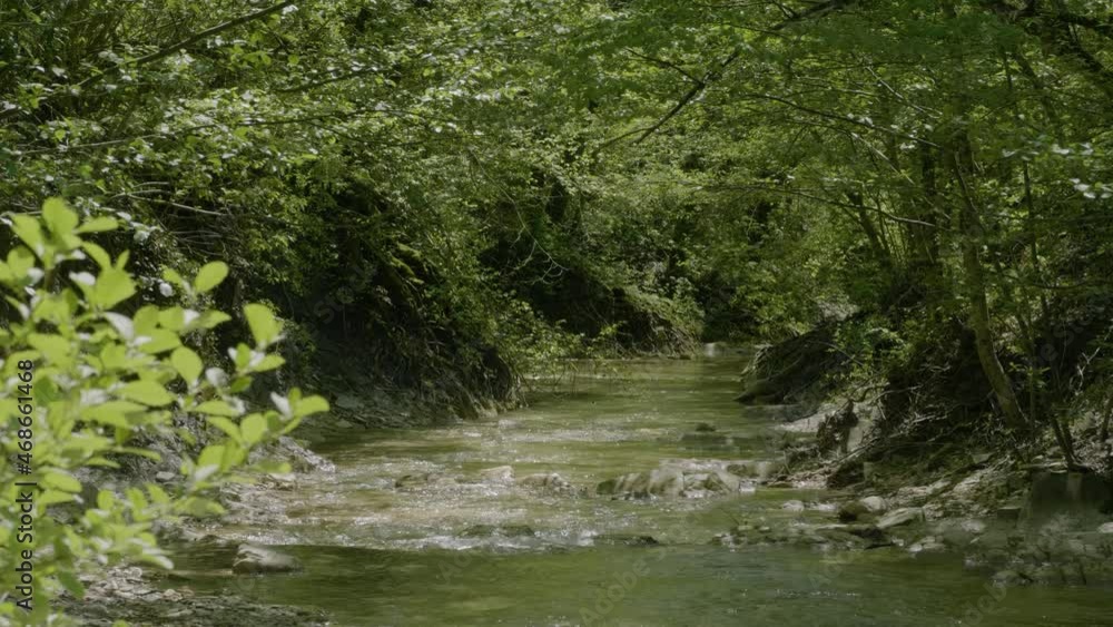The North Caucasus. Mountain river Zhane in the springtime. The North Caucasus. Mountain river Zhane in the springtime.