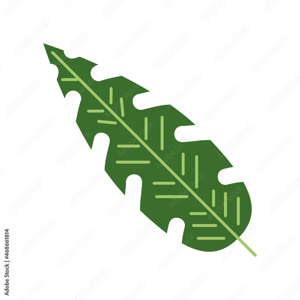Fototapeta premium tropical green leaf