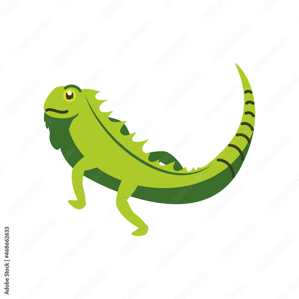 Fototapeta premium wild green iguana