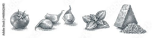 Cherry tomatoe, basil, cheese and garlic cloves. Hand drawn engraving style illustrations. Vector illustration.