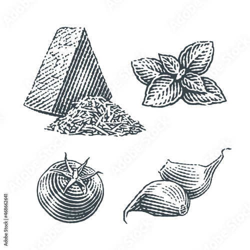 Cherry tomatoe, basil, cheese and garlic cloves. Hand drawn engraving style illustrations. Vector illustration.