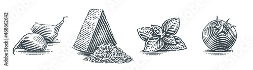Cherry tomatoe, basil, cheese and garlic cloves. Hand drawn engraving style illustrations. Vector illustration.