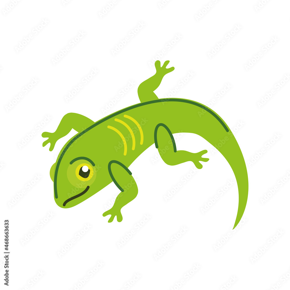 Naklejka premium green lizard icon