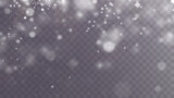 Christmas background. Powder PNG. Magic shining white dust. Fine, shiny dust particles fall off slightly. Fantastic shimmer effect.	