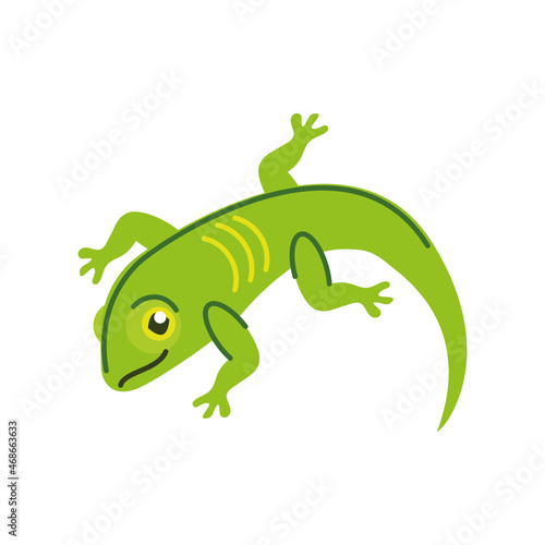 green lizard icon