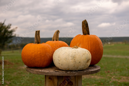 Pumpkins 