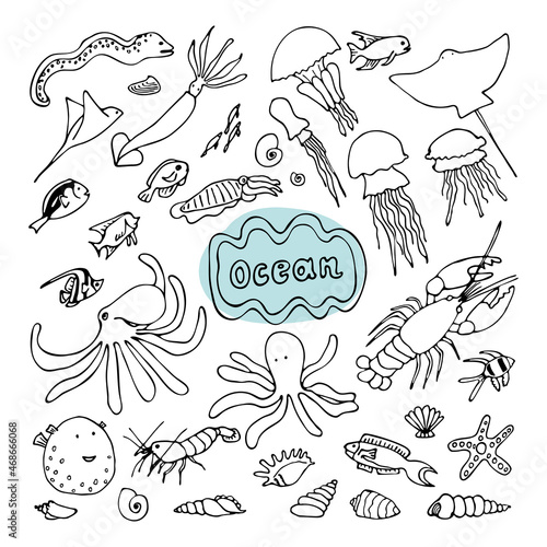 Ocean fauna set. Hand drawn line art vector illustration. Collection of underwater fish  jellyfish  octopus  molluscs  crustaceans  squid  cuttlefish  stingray  moray eels  shells. Isolated element.