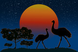 Silhouette of emu family on sunset background. Two ostrich at australian landscape with orange sunrise and acacia trees. Wild nature of Australia. Australia day banner. Stock vector illustration