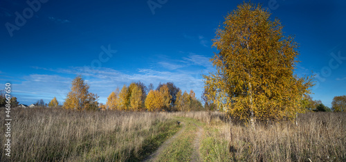 blue sky over a field with a road