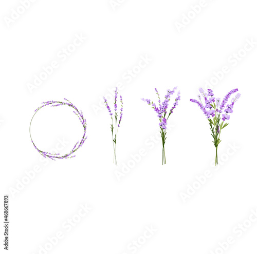 Lavender set vector stock illustration. A bouquet of lilac flowers. Round frame wreath of purple buds. Lilac twigs.