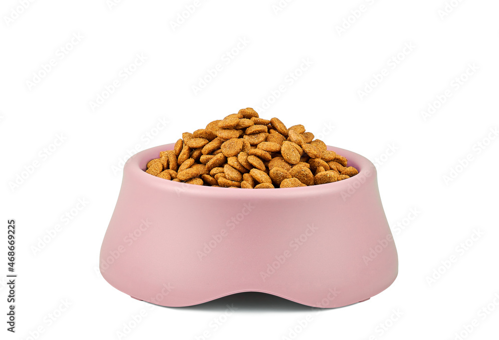 Kibble in pet bowl isolated on white Kibble in pet bowl isolated on white