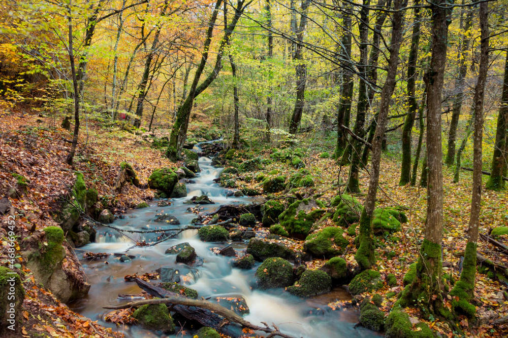 la cascade de Brisecou à Autun en automne, une magnifique cascade en forêt aux couleurs automnales la cascade de Brisecou à Autun en automne, une magnifique cascade en forêt aux couleurs automnales