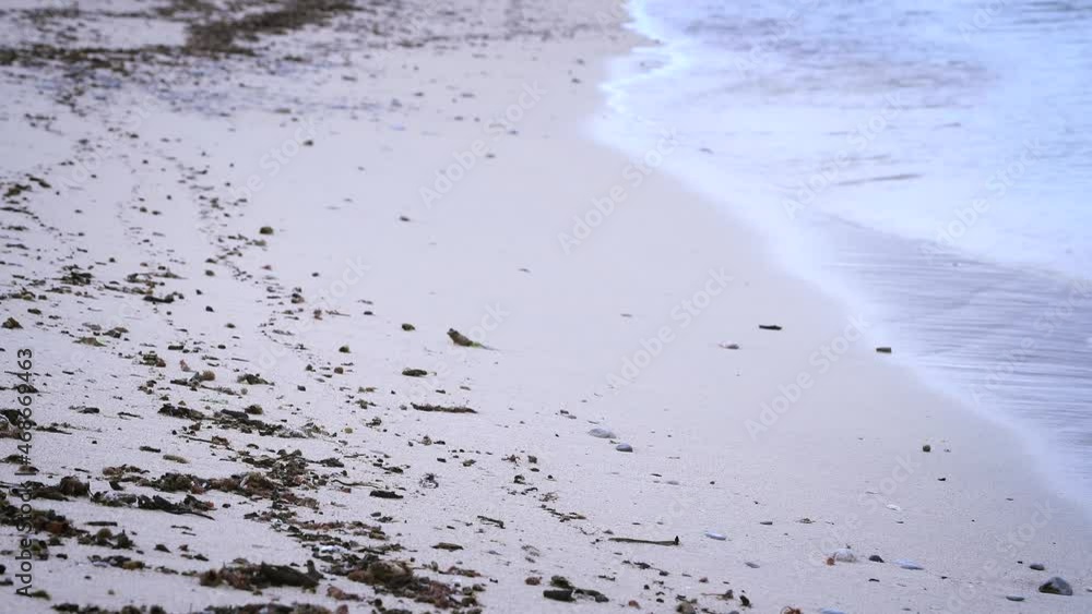 sand and shore sand and shore