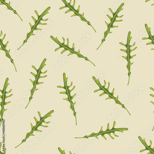 Seamless pattern with green arugula.