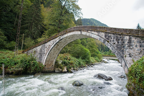 Old stone bridge and a powerful river in Rize province in Turkey © Leonid