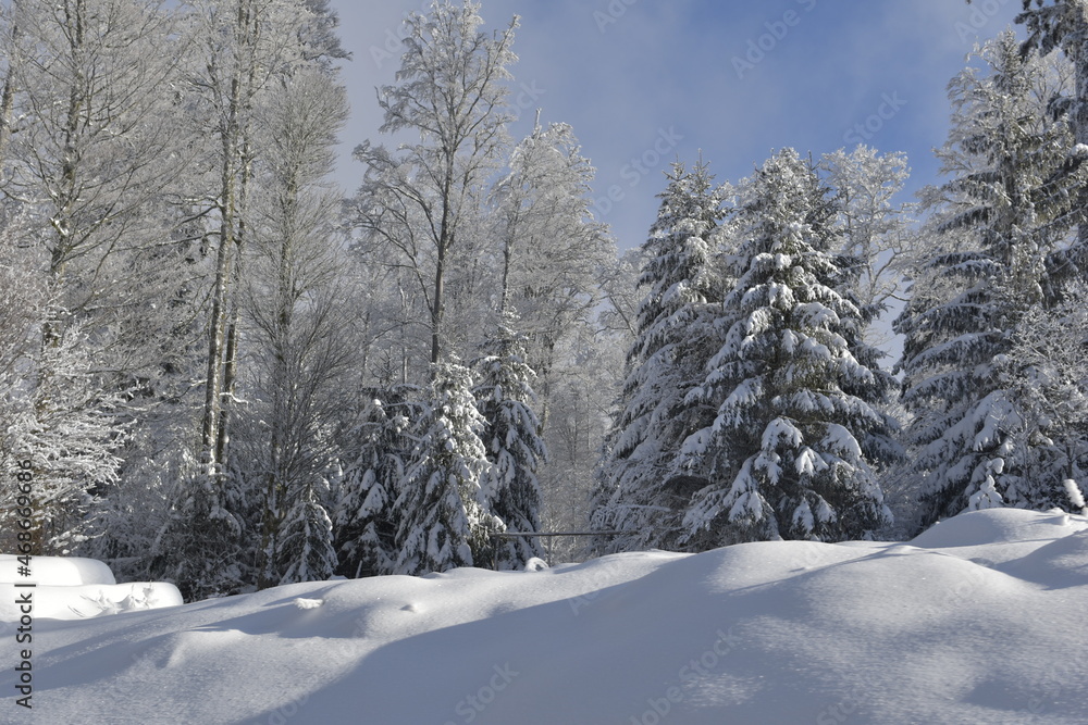Naklejka premium Neige en France en pleine hiver
