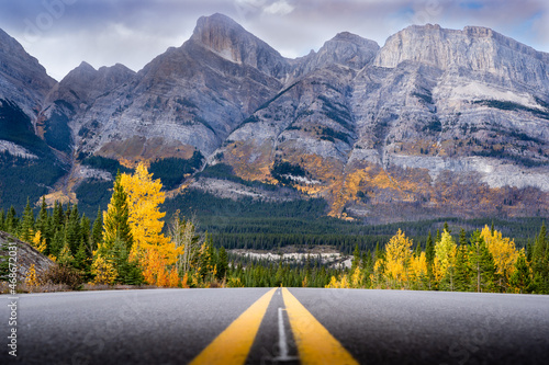 Tableau sur toile Highway 93 along the Icefields Parkway during fall colours in the Canadian Rockies