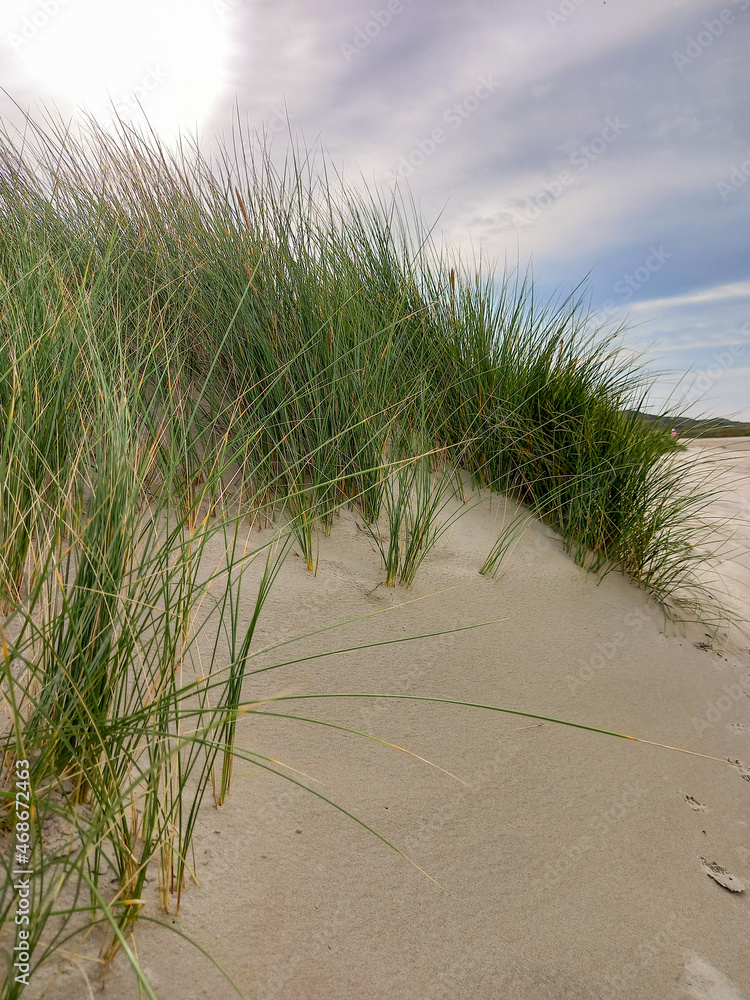 Die Ostfriesische Insel Borkum im Oktober mit Wegen durch die Dünenlandschaft. Dieser Teil der Insel gehört zum Nationalpark Wattenmeer.