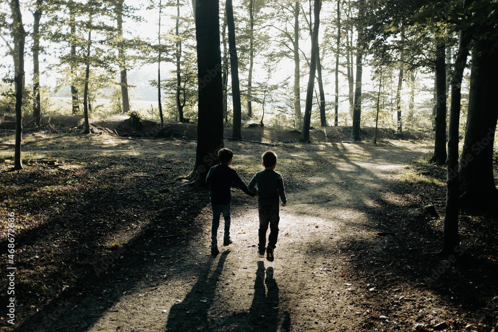 Zwei kleine Jungs gehen Hand in Hand im Wald Zwei kleine Jungs gehen Hand in Hand im Wald