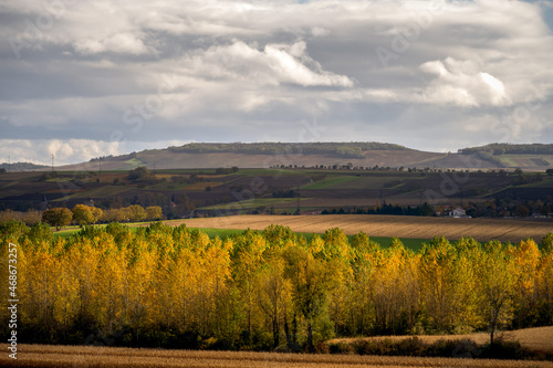 Wallpaper Mural Autumn colours, tree foliage, Auvergne, France Torontodigital.ca