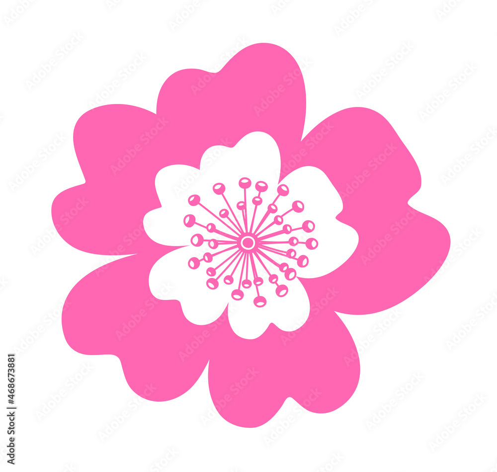 wild rose - dog rose flower isolated on white background