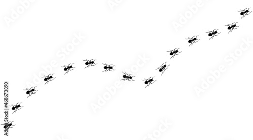 Ant trail A line of worker ants marching in search of food Vector illustration horizontal banner Ant road column Teamwork Hard work metaphor Black insect silhouettes traveling Isolated