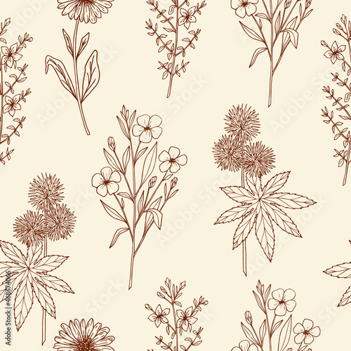 Hand drawn seamless pattern with st johns wort, calendula, castor, flax.