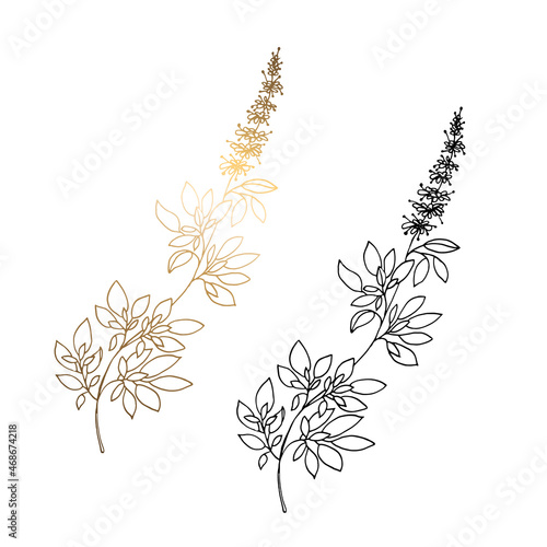 Monochrome and golden long branches with small flowers isolated on white background. Hand-drawn black and white vector illustration of leaves, tall flowers. For greeting cards and wedding invitations