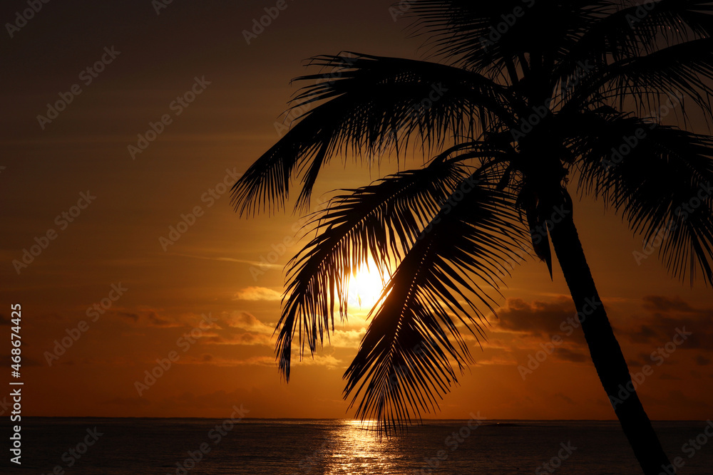 Black silhouette of coconut palm tree on sea and sunset sky background. Tropical beach, sun in shining through palm leaves, paradise nature