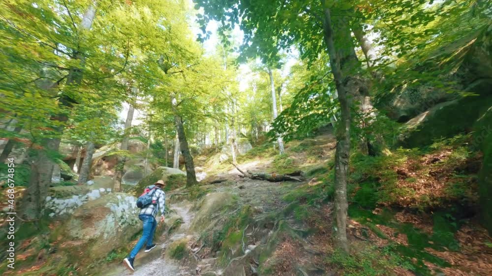 FPV flight through deep forest jungle summer landscape. Male tourist backpacker hiking alone in the woods. Travel. Freedom and adventure. Motion views. FPV flight through deep forest jungle summer landscape. Male tourist backpacker hiking alone in the woods. Travel. Freedom and adventure. Motion views.