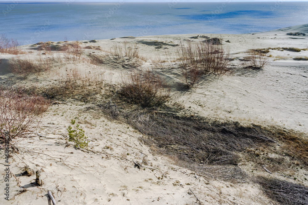 High sand dunes. Picturesque sea shores. Curonian Spit on the Baltic Sea.