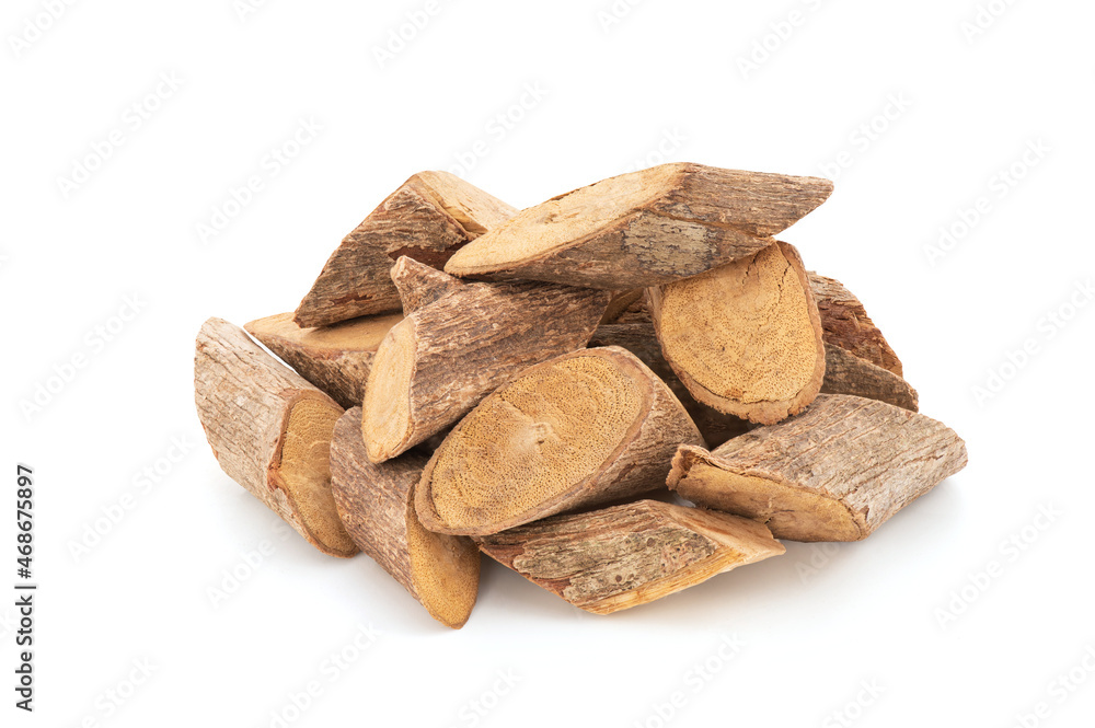 Mallotus repandus isolated on white background with clipping path. Mallotus repandus isolated on white background with clipping path.