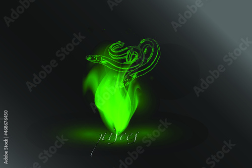 Zodiac sign in a glowing flame on a gray background. Astrological symbolism.