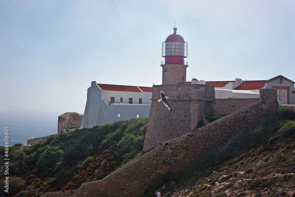 Lighthouse at Sant Vincent cape, with a seagull flying in front